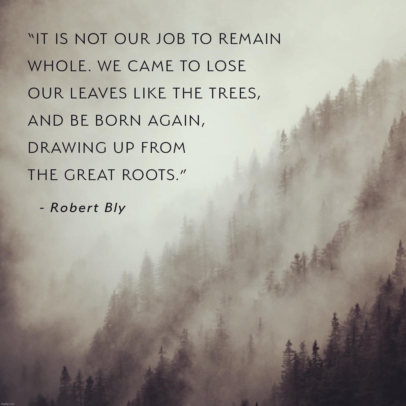 Robert Bly quote | image tagged in robert bly quote | made w/ Imgflip meme maker