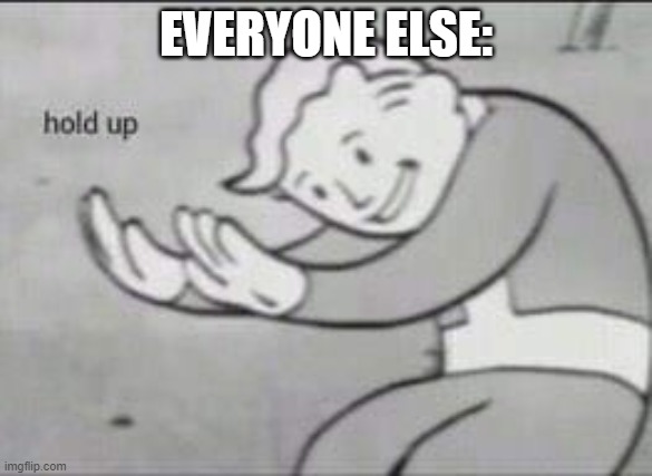 Fallout Hold Up | EVERYONE ELSE: | image tagged in fallout hold up | made w/ Imgflip meme maker