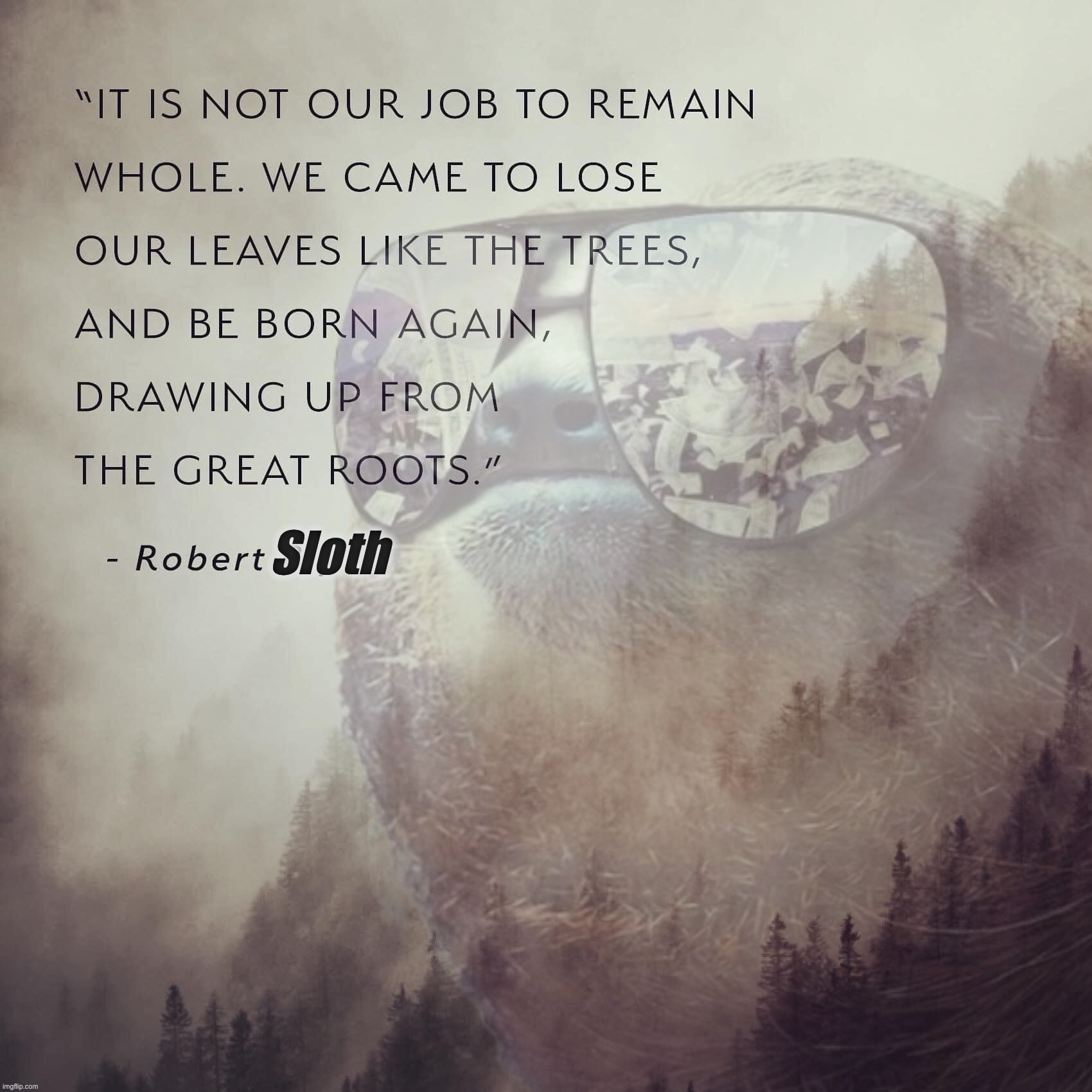 Robert Sloth quote | image tagged in robert sloth quote | made w/ Imgflip meme maker