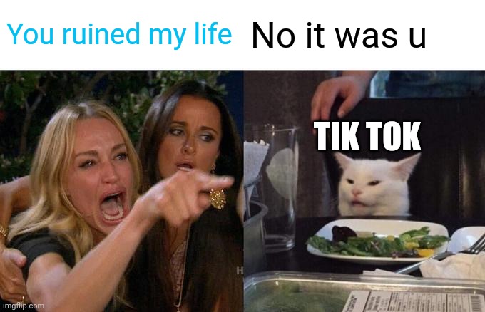 Woman Yelling At Cat | You ruined my life; No it was u; TIK TOK | image tagged in memes,woman yelling at cat | made w/ Imgflip meme maker