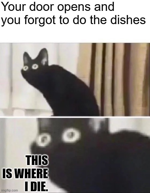 Oh No Black Cat | Your door opens and you forgot to do the dishes; THIS IS WHERE I DIE. | image tagged in oh no black cat | made w/ Imgflip meme maker