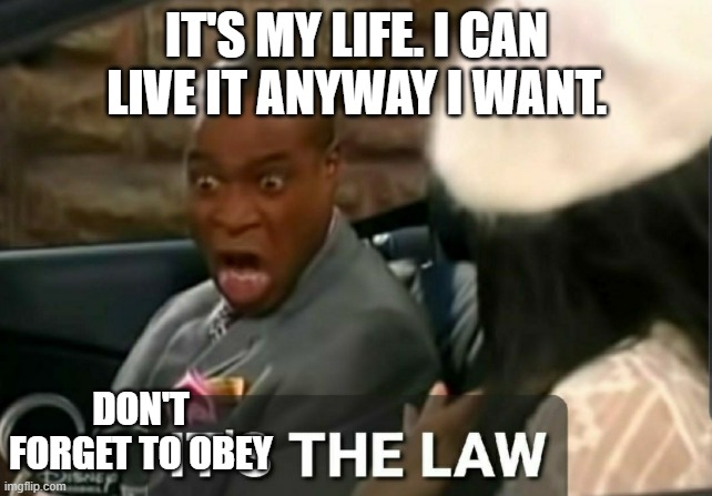 It's my life...... | IT'S MY LIFE. I CAN LIVE IT ANYWAY I WANT. DON'T FORGET TO OBEY | image tagged in it's the law,obey the law,its my life,i can live it anyway i want | made w/ Imgflip meme maker