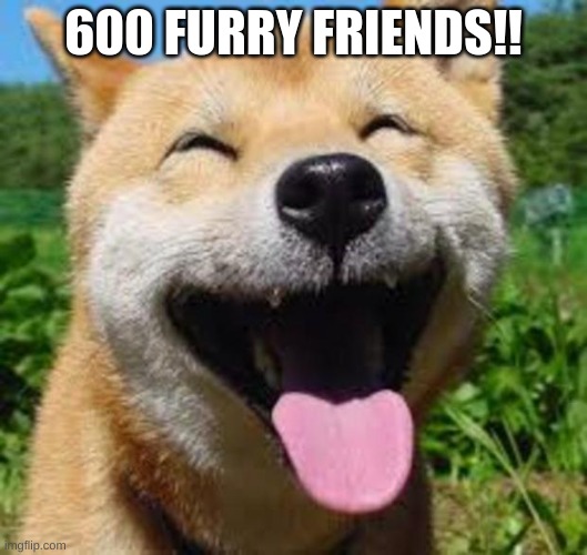 So happy the fandom is reaching so many people! | 600 FURRY FRIENDS!! | image tagged in happy doge | made w/ Imgflip meme maker