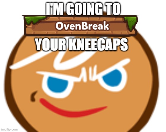 No contexts whatsoever | I'M GOING TO; YOUR KNEECAPS | image tagged in gingerbrave exe | made w/ Imgflip meme maker