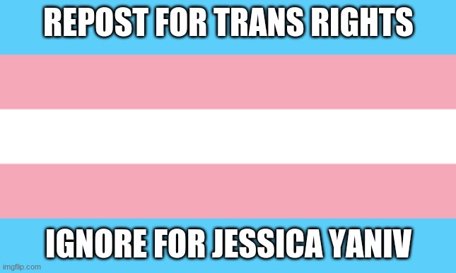 (if you don't know, jessica yaniv is a pedophile who single-handedly ruined the reputation of the trans community) | REPOST FOR TRANS RIGHTS; IGNORE FOR JESSICA YANIV | image tagged in trans flag | made w/ Imgflip meme maker