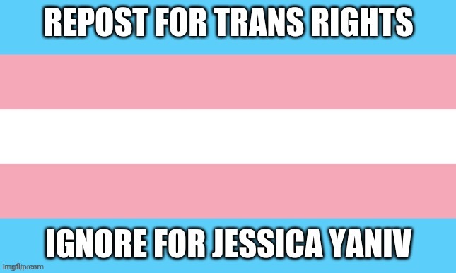 Im not trans myself but I support | made w/ Imgflip meme maker