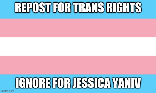 (if you don't know, jessica yaniv is a pedophile who single-handedly ruined the reputation of the trans community) | REPOST FOR TRANS RIGHTS; IGNORE FOR JESSICA YANIV | image tagged in trans flag | made w/ Imgflip meme maker