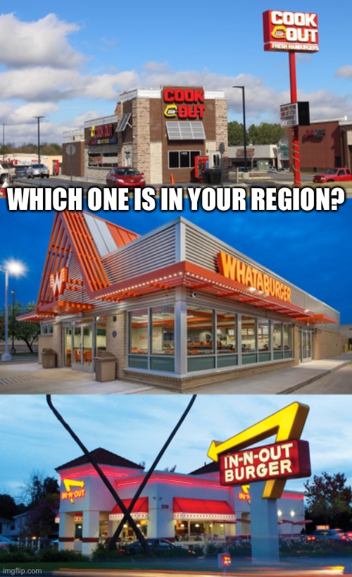 I got me some Whataburger… and Braum’s | WHICH ONE IS IN YOUR REGION? | image tagged in fast food | made w/ Imgflip meme maker