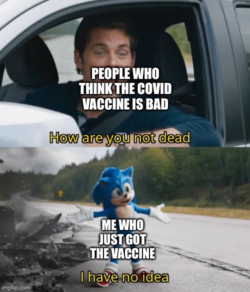 Sonic I have no idea | PEOPLE WHO THINK THE COVID VACCINE IS BAD; ME WHO JUST GOT THE VACCINE | image tagged in sonic i have no idea | made w/ Imgflip meme maker