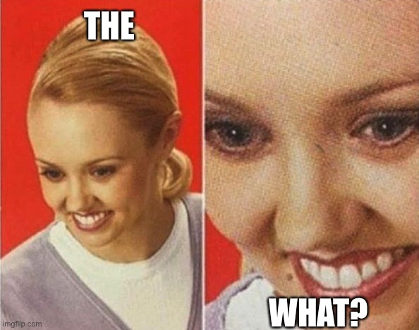the WHAT | THE; WHAT? | image tagged in the what | made w/ Imgflip meme maker