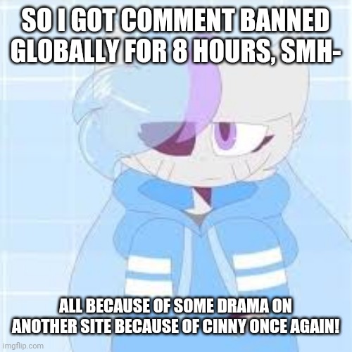 Whyyyyyyyyy???? | SO I GOT COMMENT BANNED GLOBALLY FOR 8 HOURS, SMH-; ALL BECAUSE OF SOME DRAMA ON ANOTHER SITE BECAUSE OF CINNY ONCE AGAIN! | image tagged in sashley | made w/ Imgflip meme maker