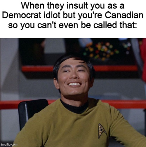 Sulu smug | When they insult you as a Democrat idiot but you're Canadian so you can't even be called that: | image tagged in sulu smug,memes | made w/ Imgflip meme maker