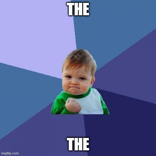 Success Kid Meme | THE; THE | image tagged in memes,success kid | made w/ Imgflip meme maker