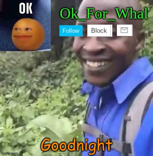 Ya know whats weird? Everybody says goodnight to the others but not me like at least some people should know me :| | Goodnight | image tagged in ok_for_what temp | made w/ Imgflip meme maker