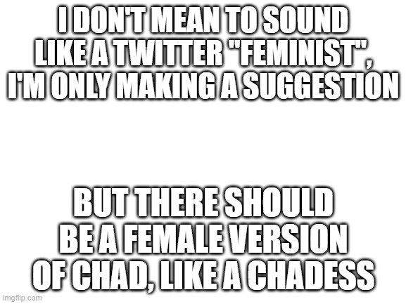 Only a suggestion | I DON'T MEAN TO SOUND LIKE A TWITTER "FEMINIST", I'M ONLY MAKING A SUGGESTION; BUT THERE SHOULD BE A FEMALE VERSION OF CHAD, LIKE A CHADESS | image tagged in blank white template | made w/ Imgflip meme maker