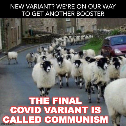 THE FINAL COVID VARIANT IS CALLED COMMUNISM | THE FINAL COVID VARIANT IS CALLED COMMUNISM | image tagged in covid-19 | made w/ Imgflip meme maker