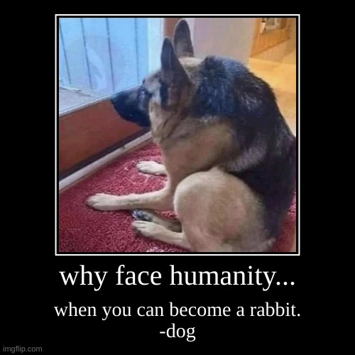 when | image tagged in funny,demotivationals,children scared of rabbit,doge,why are you reading this,front page plz | made w/ Imgflip demotivational maker