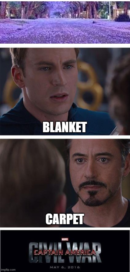 Comment what you think | BLANKET; CARPET | image tagged in memes,marvel civil war 1 | made w/ Imgflip meme maker