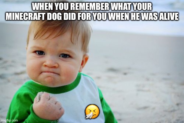 Success Kid Original Meme | WHEN YOU REMEMBER WHAT YOUR MINECRAFT DOG DID FOR YOU WHEN HE WAS ALIVE; 🤧 | image tagged in memes,success kid original | made w/ Imgflip meme maker