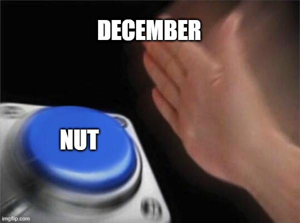 no nut november | DECEMBER; NUT | image tagged in memes,blank nut button,nut,funny,nnn | made w/ Imgflip meme maker