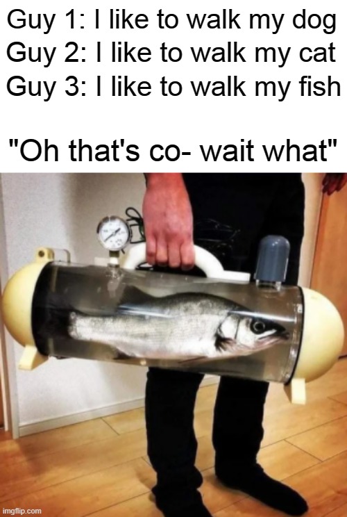 Guy 1: I like to walk my dog; Guy 2: I like to walk my cat; Guy 3: I like to walk my fish; "Oh that's co- wait what" | made w/ Imgflip meme maker