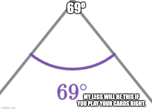 why? | 69º; MY LEGS WILL BE THIS IF YOU PLAY YOUR CARDS RIGHT, | image tagged in 69 in math | made w/ Imgflip meme maker