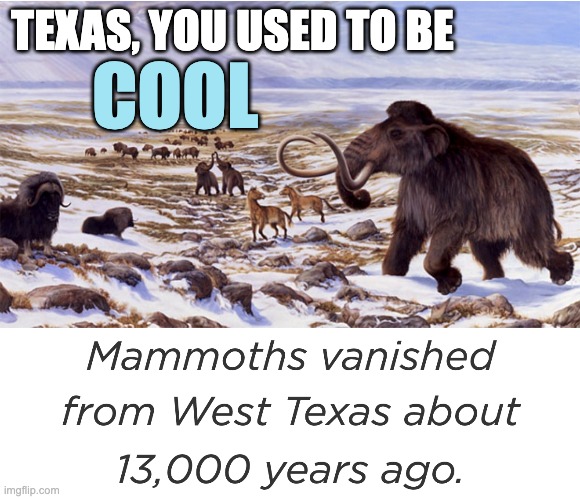 TEXAS, YOU USED TO BE COOL | made w/ Imgflip meme maker