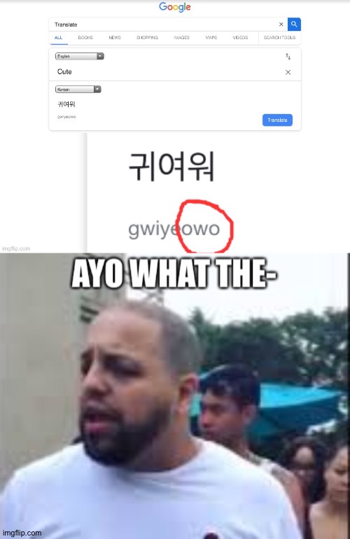 That's Kinda Sus ngl | image tagged in owo,korean,hold up,google translate,joke | made w/ Imgflip meme maker