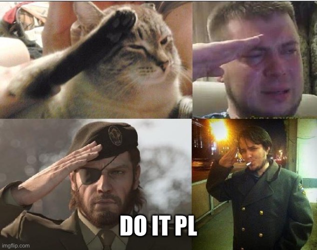 Sad Salute | DO IT PLEASE | image tagged in sad salute | made w/ Imgflip meme maker