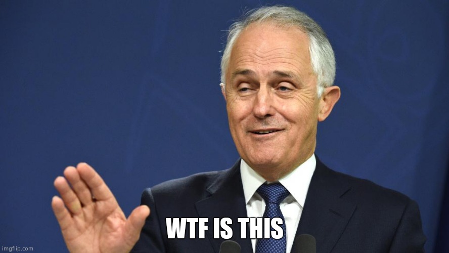 Malformed Turdballs lmfao | WTF IS THIS | image tagged in malformed turdballs | made w/ Imgflip meme maker