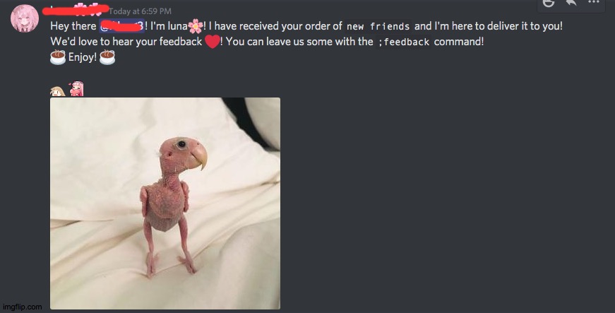 There is a discord bot that "delivers coffee orders and this happened | image tagged in lol,funi,funny | made w/ Imgflip meme maker