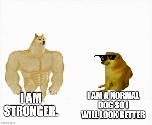 dwdwdwdwdwdwdwdwdwd | I AM STRONGER. I AM A NORMAL DOG SO I WILL LOOK BETTER | image tagged in strong dog vs weak dog | made w/ Imgflip meme maker