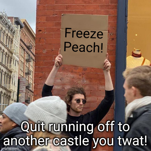 Freeze Peach! Quit running off to another castle you twat! | image tagged in memes,guy holding cardboard sign | made w/ Imgflip meme maker