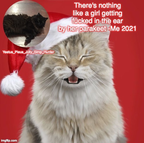 Christmas Template Blank Meme Template