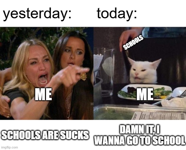 i want skoolz | yesterday:; today:; SCHOOLS; ME                                ME; SCHOOLS ARE SUCKS; DAMN IT, I WANNA GO TO SCHOOL | image tagged in memes,woman yelling at cat | made w/ Imgflip meme maker