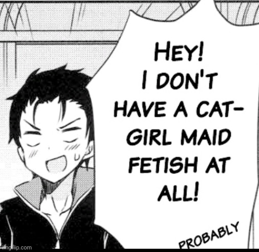 cat girl maid fetish | image tagged in cat girl maid fetish | made w/ Imgflip meme maker