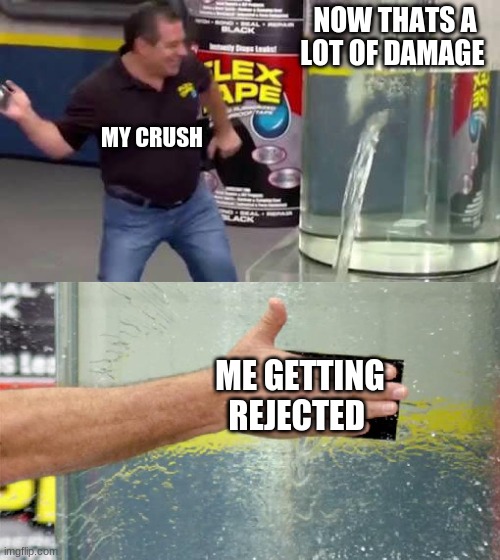 Flex Tape | NOW THATS A LOT OF DAMAGE; MY CRUSH; ME GETTING REJECTED | image tagged in flex tape | made w/ Imgflip meme maker