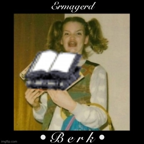 • One berk to rule them all • | Ermagerd; • B e r k • | image tagged in ermagerd | made w/ Imgflip meme maker