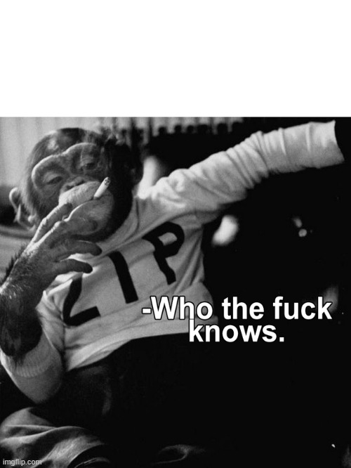 smoking chimp | image tagged in chimp,smoking,cool | made w/ Imgflip meme maker
