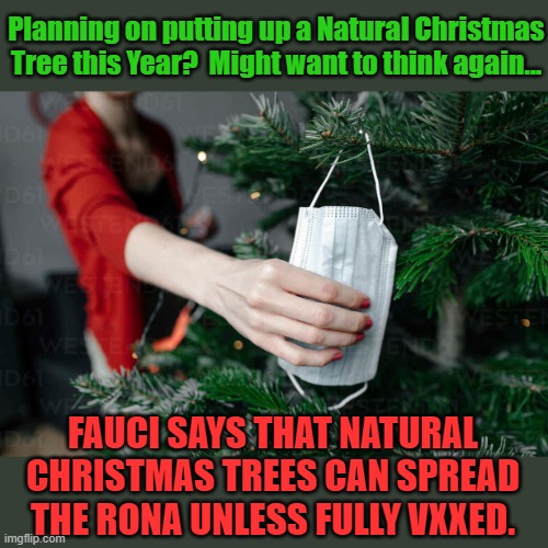 Planning on putting up a Natural Christmas Tree this Year?  Might want to think again... FAUCI SAYS THAT NATURAL CHRISTMAS TREES CAN SPREAD THE RONA UNLESS FULLY VXXED. | image tagged in faucitree | made w/ Imgflip meme maker