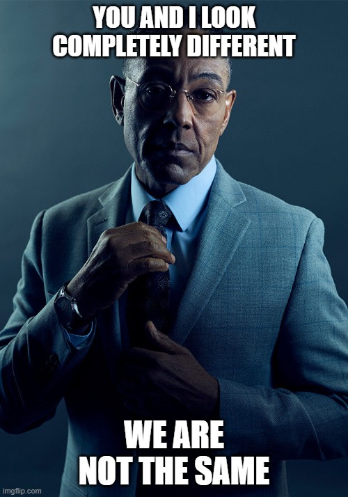 Yup... | YOU AND I LOOK COMPLETELY DIFFERENT; WE ARE NOT THE SAME | image tagged in gus fring we are not the same | made w/ Imgflip meme maker