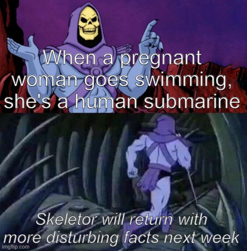 he man skeleton advices | When a pregnant woman goes swimming, she's a human submarine; Skeletor will return with more disturbing facts next week | image tagged in he man skeleton advices | made w/ Imgflip meme maker