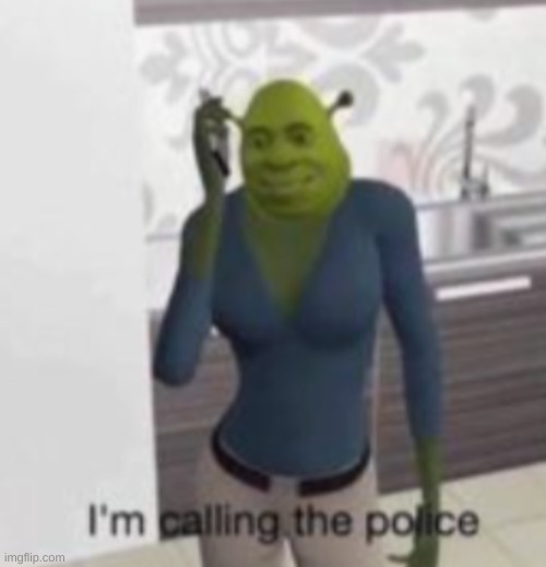 New template use it whenever | image tagged in new template,shrek,911 | made w/ Imgflip meme maker