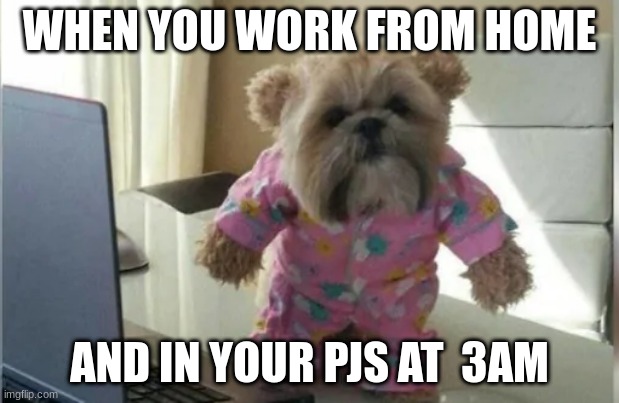 work | WHEN YOU WORK FROM HOME; AND IN YOUR PJS AT  3AM | image tagged in true | made w/ Imgflip meme maker