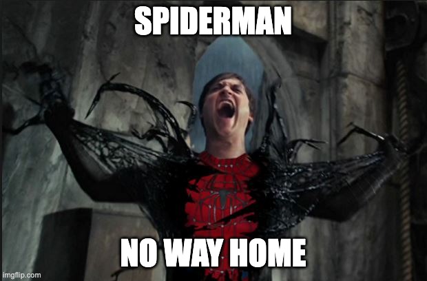Spider Man Becoming Venom | SPIDERMAN; NO WAY HOME | image tagged in spider man becoming venom | made w/ Imgflip meme maker
