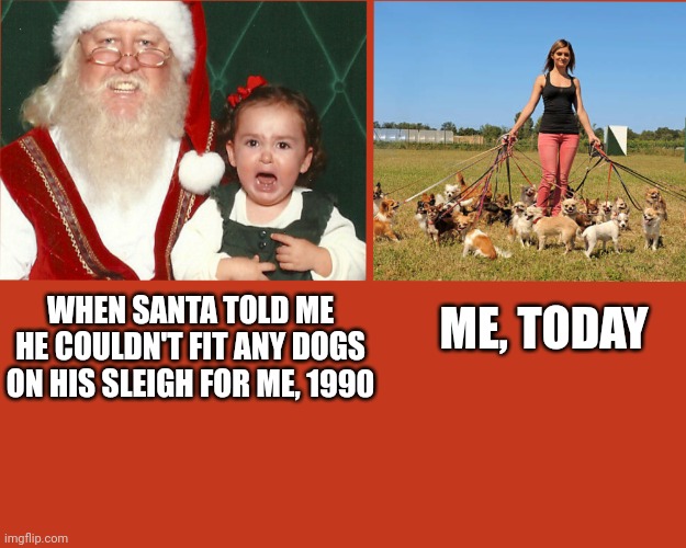 Santa Paws | WHEN SANTA TOLD ME HE COULDN'T FIT ANY DOGS ON HIS SLEIGH FOR ME, 1990; ME, TODAY | image tagged in dogs,santa,christmas | made w/ Imgflip meme maker