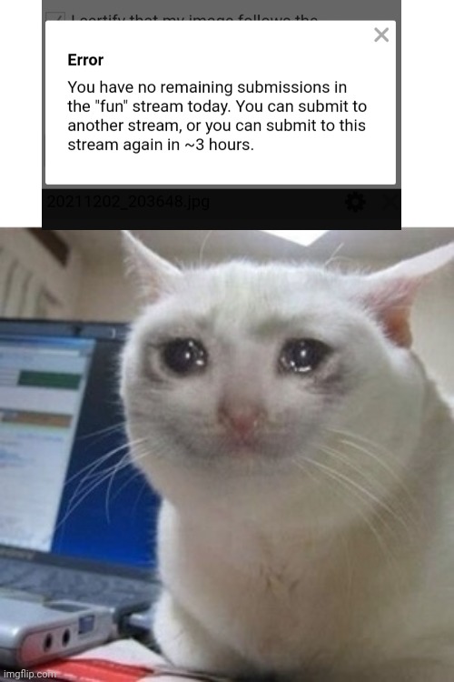 *insert title* | image tagged in crying cat | made w/ Imgflip meme maker