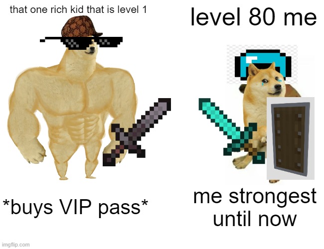 Buff Doge vs. Cheems | that one rich kid that is level 1; level 80 me; *buys VIP pass*; me strongest until now | image tagged in memes,buff doge vs cheems | made w/ Imgflip meme maker