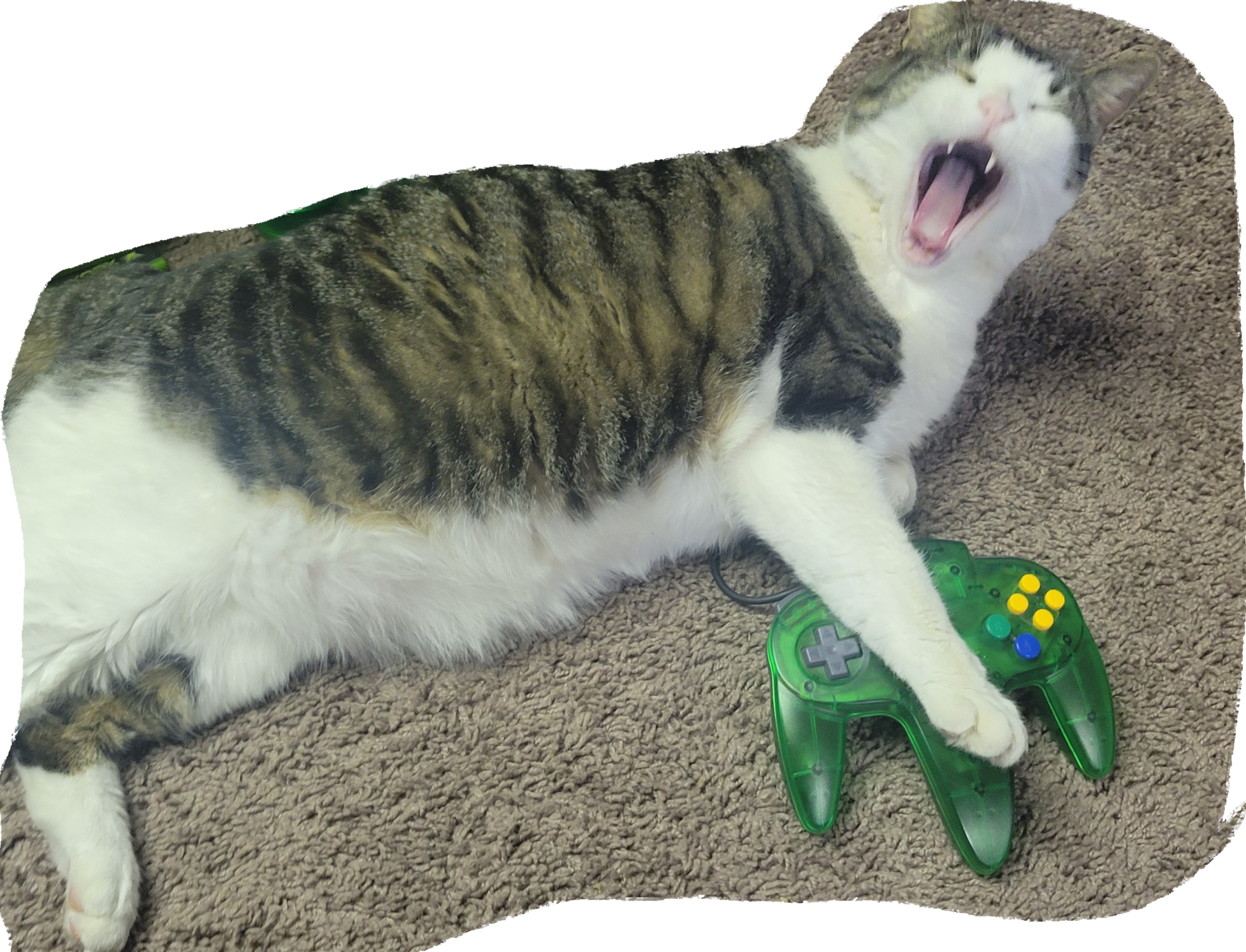 High Quality Video Game Cat Blank Meme Template