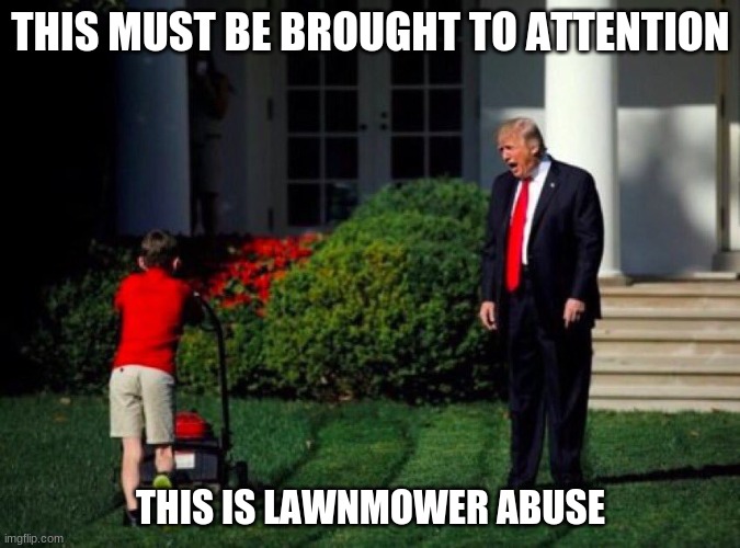 Abuse | THIS MUST BE BROUGHT TO ATTENTION; THIS IS LAWNMOWER ABUSE | image tagged in trump yells at lawnmower kid | made w/ Imgflip meme maker